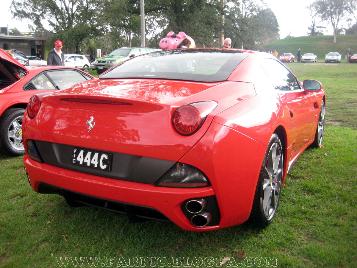 2010_ferrari-farpic-b%20(4).jpg